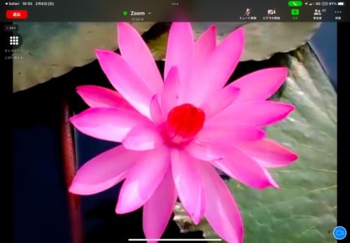 タイにこんな場所があったとは！