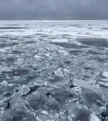 生まれて初めてみた流氷に感動