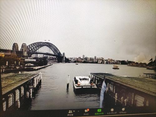 シドニーをリアルタイムで街ブラ