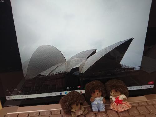 憧れのシドニー