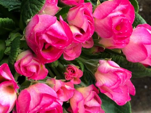 楽しい会話 楽しい会話