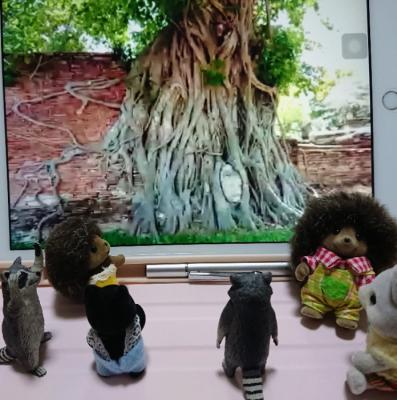 常夏？の アユタヤ遺跡