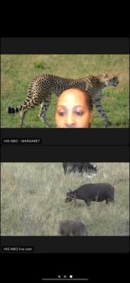 動物に沢山あえました