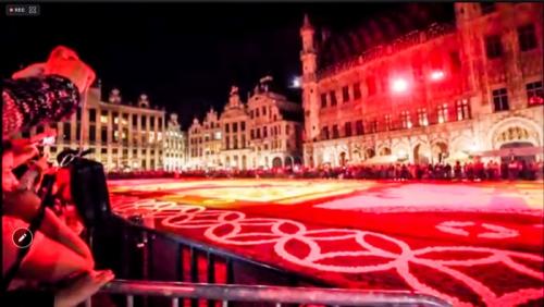 チューリップたくさん見れました。