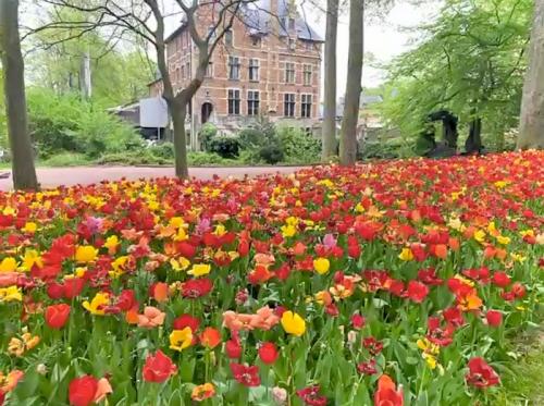 お花だけではない文化も感じられるツアー