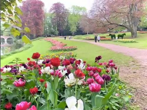 お花だけではない文化も感じられるツアー