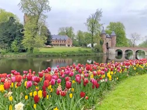お花だけではない文化も感じられるツアー
