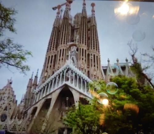 オンライン観光ツアー