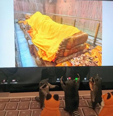 HIS インド・ネパールブッタルート 4都市オンラインツアー