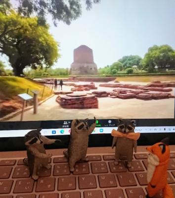 HIS インド・ネパールブッタルート 4都市オンラインツアー