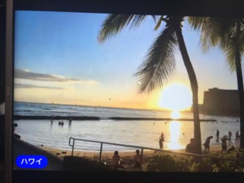 とても楽しめました