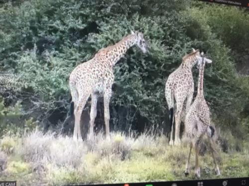 とても楽しめました