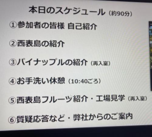 パイナップルの秘密発見の旅