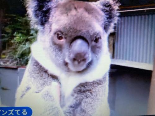 気軽に参加できます