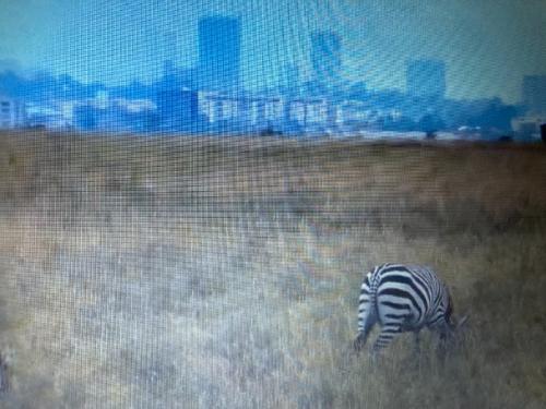 気軽に参加できます