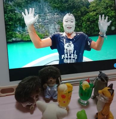 海が綺麗なパラオ