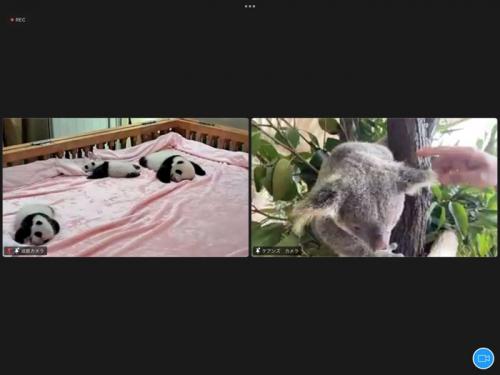 海外の動物園を体験！