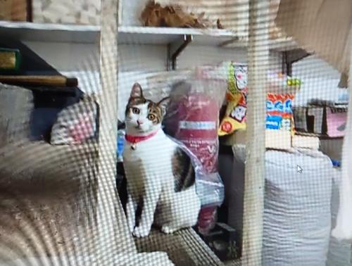 とてもとても楽しかったです