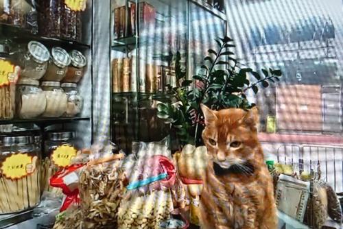 とてもとても楽しかったです