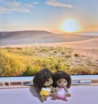 夕陽が綺麗でした