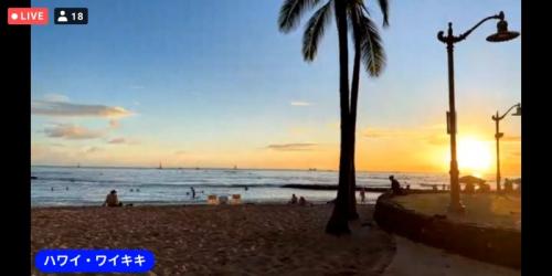 動物が楽しかったです！