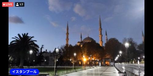 動物が楽しかったです！