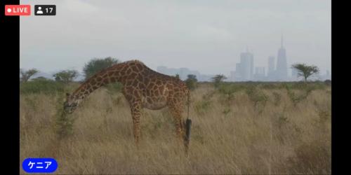 動物が楽しかったです！
