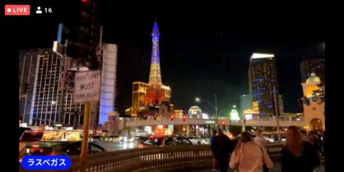 動物が楽しかったです！