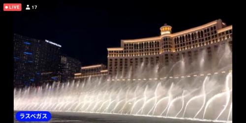 動物が楽しかったです！