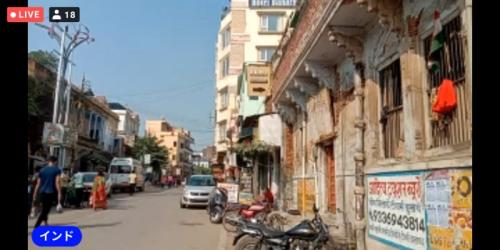 動物が楽しかったです！