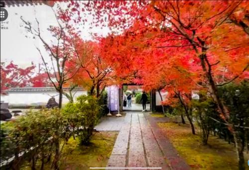 ガイドさんが詳しくて楽しませていただきました。 ガイドさんが詳しくて楽しませていただきました。