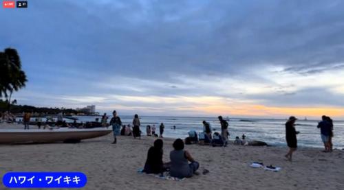 コアラ、かわいかったです！