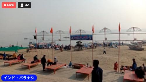 コアラ、かわいかったです！