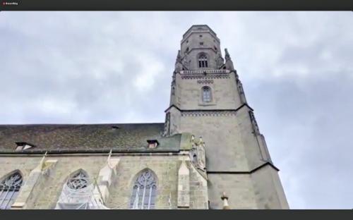 猫の日企画で猫ちゃんに会えた♪