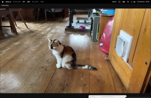 まさに「進撃の巨人」の街で感動！