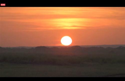 世界各地のお正月を楽しめました! 世界各地のお正月を楽しめました!