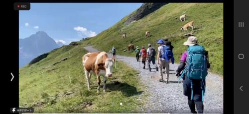 絶景ー!!! 絶景ー!!!