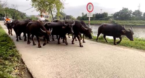 隠れた名所ニンビン 隠れた名所ニンビン