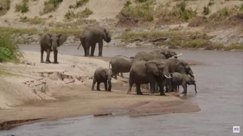今年もありがとうございました! 今年もありがとうございました!