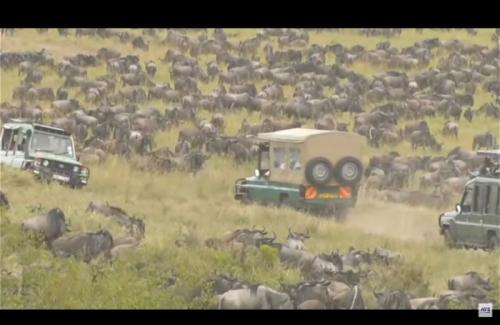 今年も楽しく世界各地を拝見できました! 今年も楽しく世界各地を拝見できました!