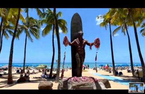 今年も楽しく世界各地を拝見できました! 今年も楽しく世界各地を拝見できました!