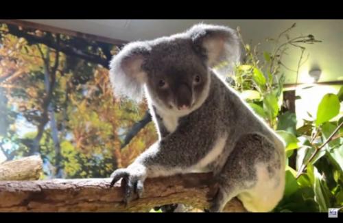 今年も楽しく世界各地を拝見できました! 今年も楽しく世界各地を拝見できました!