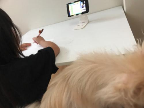 おもしろい おもしろい