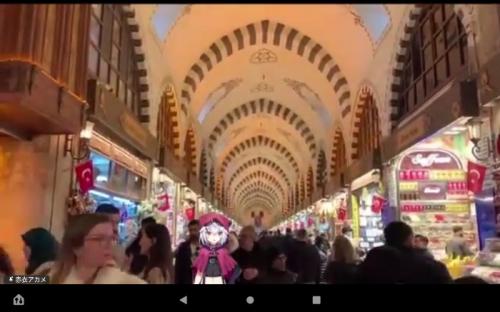 栄養士Vtuberと見たイスタンブール 栄養士Vtuberと見たイスタンブール