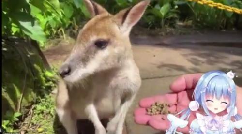 動物いっぱい 動物いっぱい