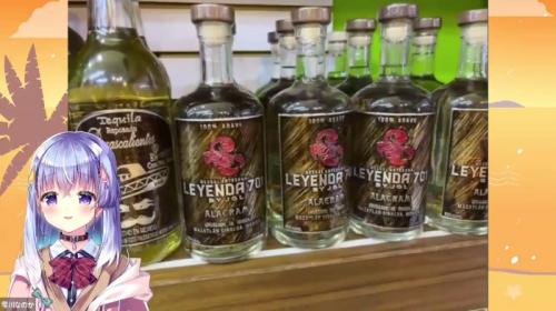 なのちゃんと行くメキシコ カンクンツアー!! なのちゃんと行くメキシコ カンクンツアー!!