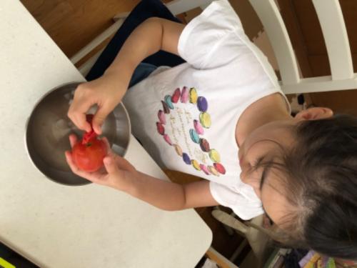 ケーキ屋さん ケーキ屋さん