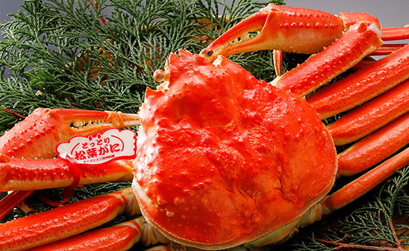 鳥取県の松葉がに ショッピングツアー