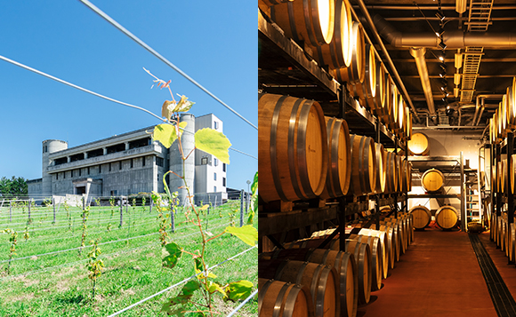 ガイドと巡る池田ワイン城ツアー