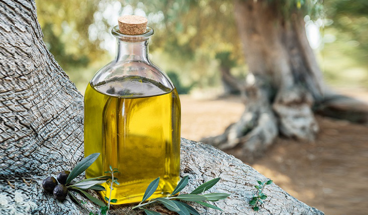 最高品質カリフォルニア産オリーブオイル ショッピング
